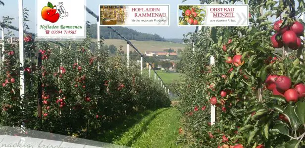 Hofladen Obstbau Menzel Rammenau