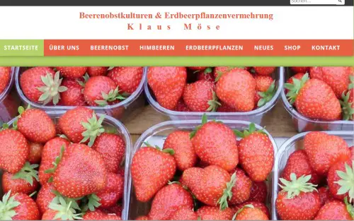 Beerenobstkulturen-Erdbeerpflanzen Zittau OT Eichgraben