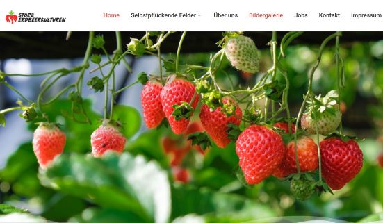Storz Erdbeerkulturen - Verkauf und Selbstpflücke Landsberg am Lech