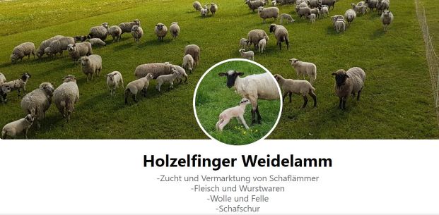 Holzelfinger Weidelamm Lichtenstein-Holzelfingen