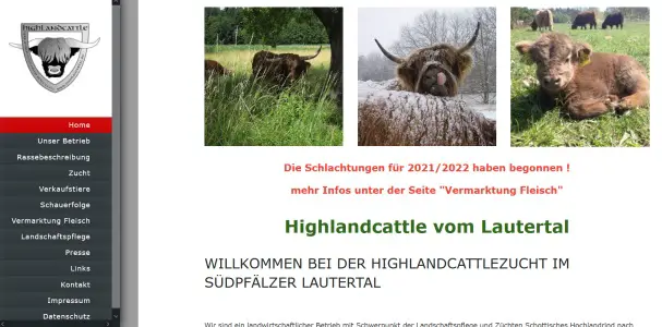 Highlandcattle vom Lautertal Berg (Pfalz)