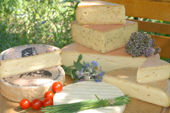 Käse aus der Käserei Mooshof