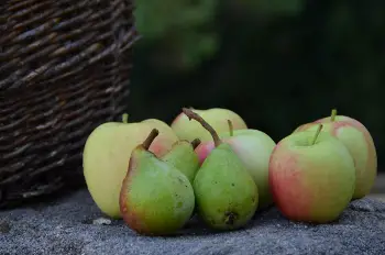 Burmann` HofundLADEN frisches Obst