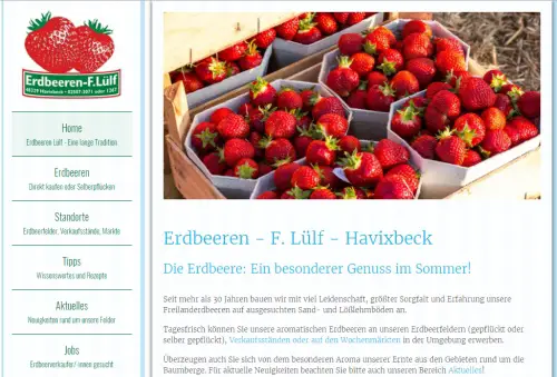Erdbeeren Lülf Havixbeck