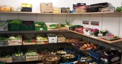 Obst und Gemüse Handel Rutesheim - Perouse