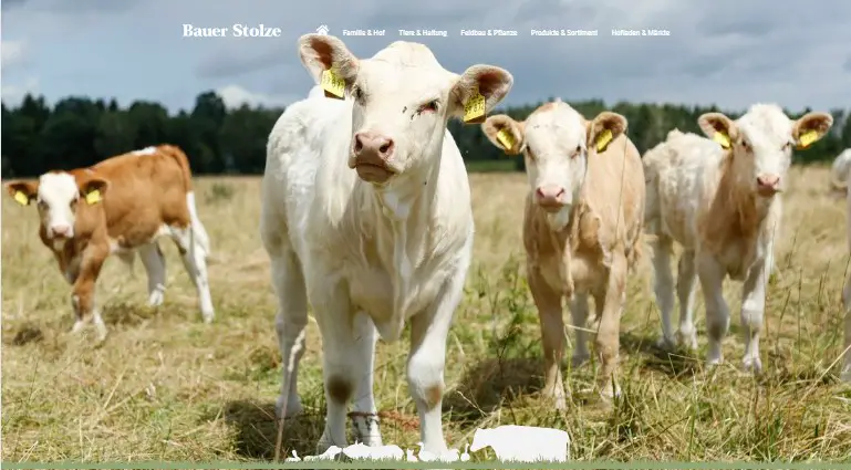 Bauer Stolze - Biolandbetrieb Schwüblingsen (Uetze)