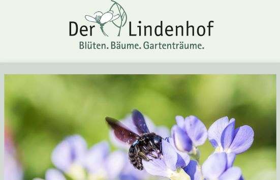 Gärtnerei Lindenhof Bensheim