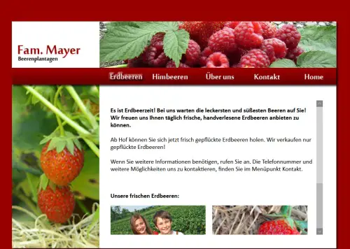 Beerenplantage Mayer vulgo Grubmühle Eferding