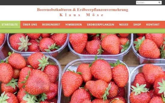 Beerenobstkulturen Möse Zittau - Eichgraben