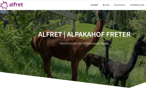 Alfret - Alpakahof Freter Herrischried-Wehrhalden