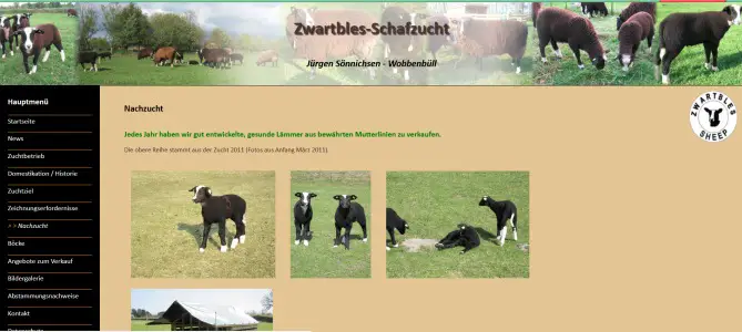 Zwartbleszucht Sönnichsen Wobbenbüll