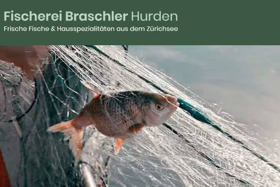 Fischerei Braschler GmbH Hurden