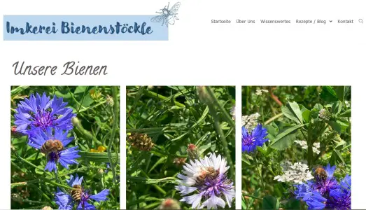 Imkerei Bienenstöckle Fellbach - Schmiden