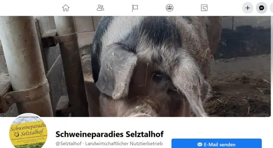Schweineparadies Selztalhof Selzen