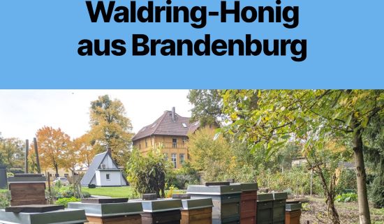 Waldring-Honig Altlandsberg-Bruchmühle
