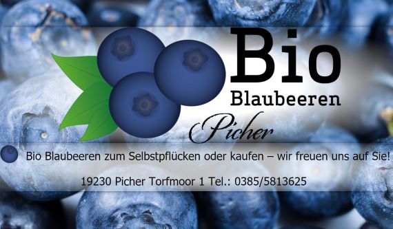Bio-Blaubeeren Picher Picher