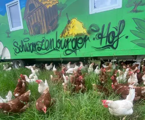 Schwarzenburger Hofladen Stolberg