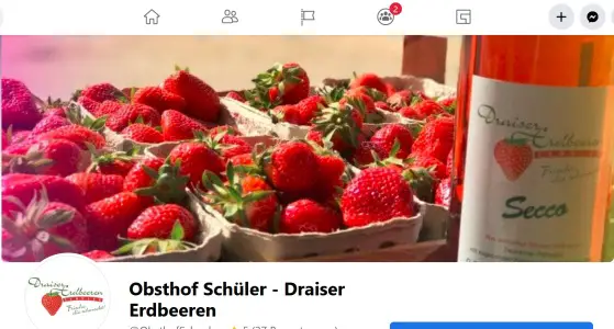 Obsthof Schüler - Draiser Erdbeeren Mainz