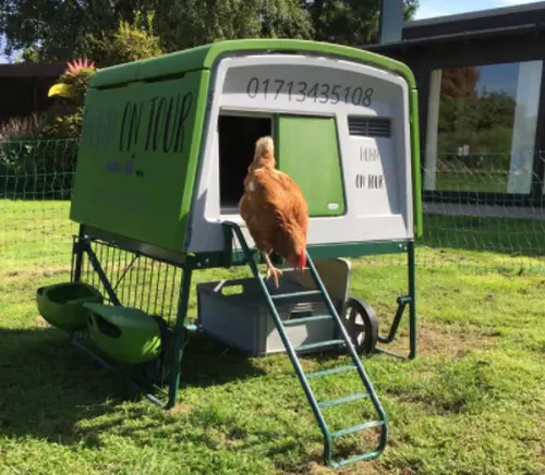 Huhn on Tour Lünen