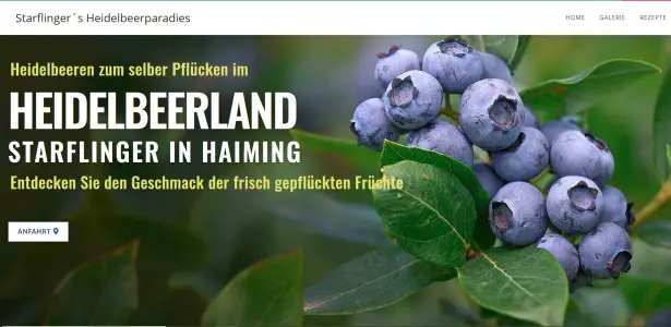 Starflinger Heidelbeerparadies / Heidelbeerland Haiming