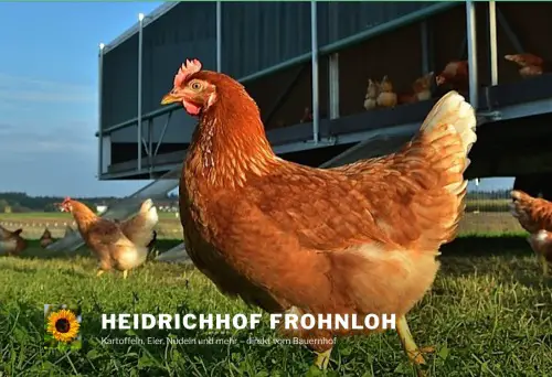 Heidrichhof Krailling Frohnloh