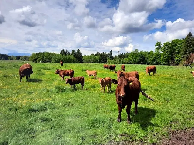 Naturlandhof Mitterer Seeon