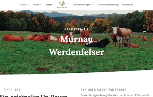 Murnau-Werdenfelser Rinderzucht Waakirchen