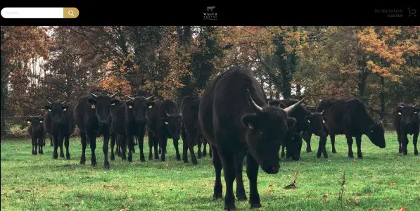 Auetal Beef Manufaktur Hof Looschen Garrel