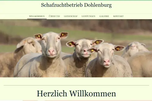 Schafzucht Dohlenburg  Groß Denkte