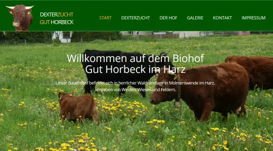 Biohof Dexterzucht Gut Horbeck Mansfeld OT Molmerswende