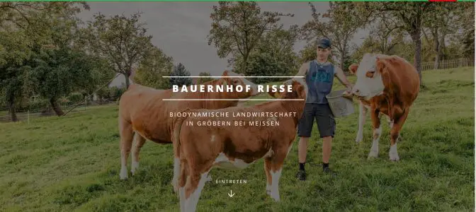 Demeter Bauernhof Risse Niederau / OT Gröbern