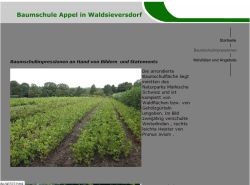 Baumschule Appel GmbH Waldsieversdorf