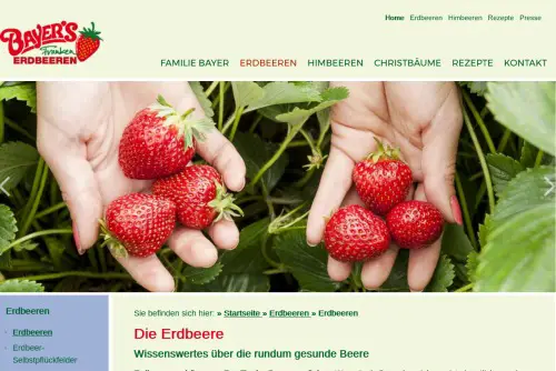Bayers Franken Erdbeeren Kronach