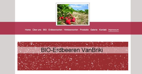 Bio-Erdbeeren VanBriki Güssing