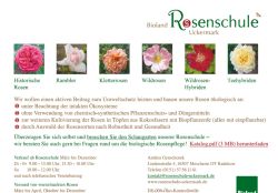 Bioland Rosenschule Uckermark  Mescherin OT Radekow