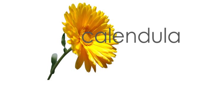 Calendula der Naturladen Eisenhüttenstadt