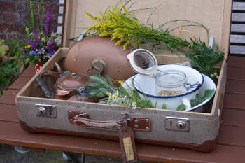 Appelbongert Wildkräuter