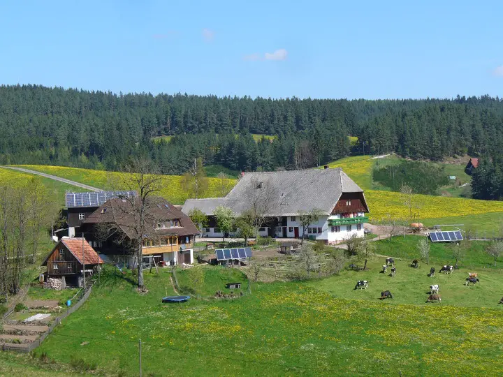 Mooshof in Schramberg