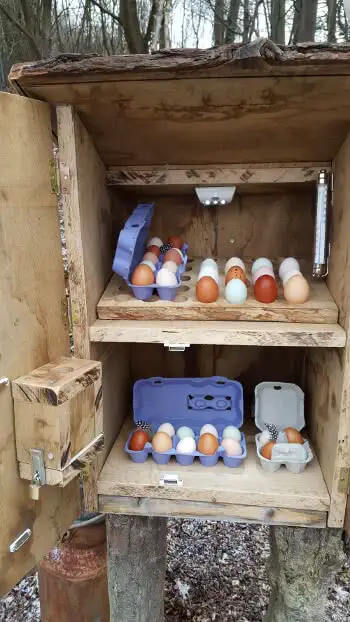 Cocky Locky Farm Eierverkauf