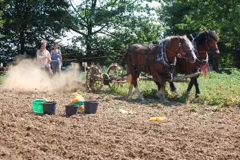 Ökologische Landwirtschaft auf dem Tannenhof in Besra