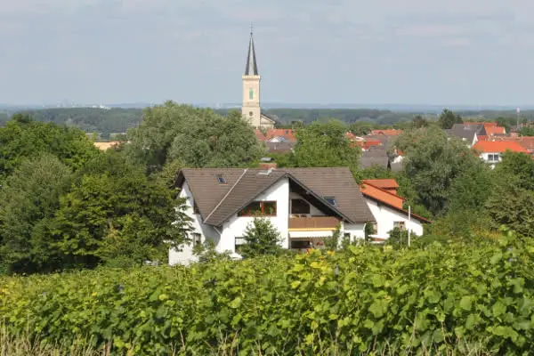 Weingut Joerg Haub in Bodenheim