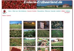 Enderle Erdbeerland Durmersheim