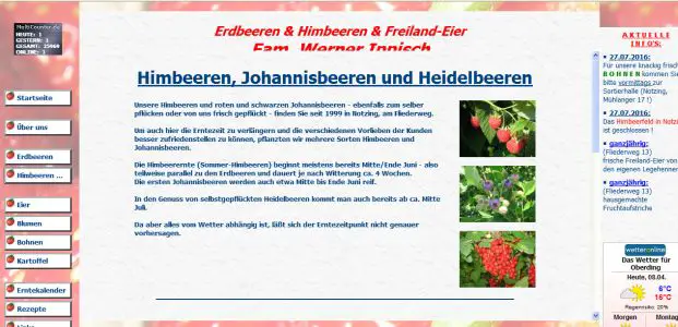 Erdbeeren Ippisch Oberding