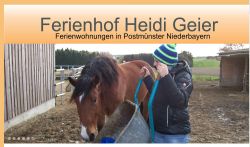 Ferienhof Heidi Geier Postmünster