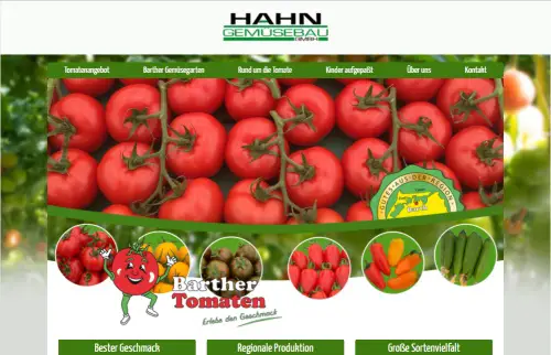 Barther Tomaten - Hahn Gemüsebau Barth / Ostsee