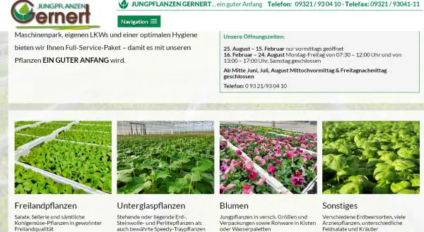 Jungpflanzen Gernert Albertshofen