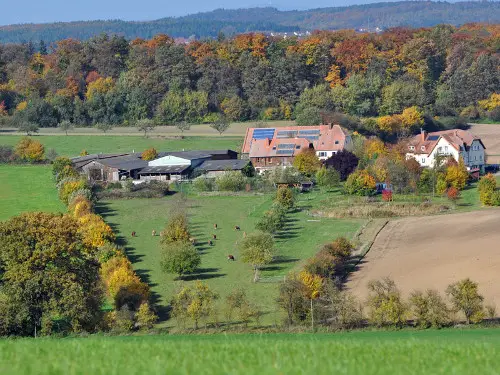 Neue Haus Sonne gGmbH Blieskastel - Böckweiler