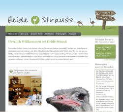 Heide-Strauss Bad Düben
