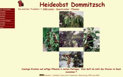 Heideobst Dommitzsch Dommitzsch