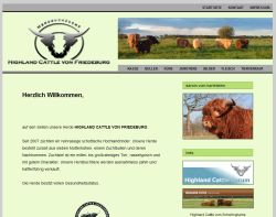 Highland Cattle von Schellerten Schellerten